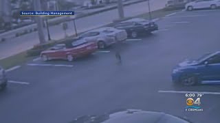 Hallandale Beach Police Arrest Naked Florida Man They Said Attempted To Murder An Officer