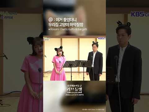 이거 틀었더니 우리 집 고양이 하악질 함 #이동규 #임선혜