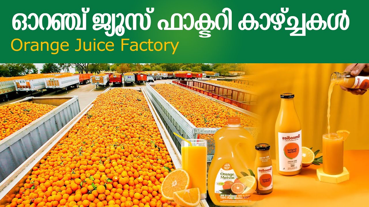 orange juice factory tour near me