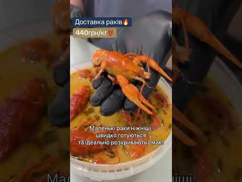 Для замовлення звʼяжіться з менеджером у вайбері+380960572236 #раки #раки #доставкараків #живірак