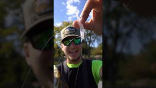 The BEST Swimbait Head?! #fishing