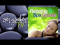Wellness - Relaxing Spa Sounds 4 ► Full Album 1:24 hr Continuous Mix