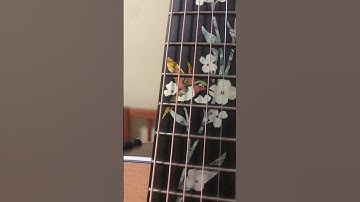 Fake inlay stickers look legit