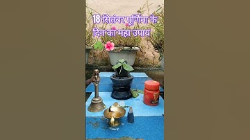 1 बेलपत्र 3 शमी पत्र का उपाय #pradeepmishra #shivpuran #shorts #mahadev #trending #belpatra #shiv