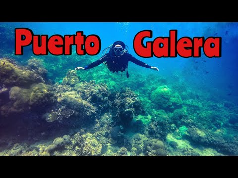 SCUBA DIVING | TINA&#;S REEF DIVERS | PADI