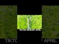 💥TIKTOK REMIX DANCE PARTY 2025🎶 BEST OF SUMMER TIKTOK BUDOTS VIRAL REMIX 🔥TIKTOK