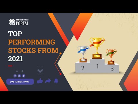 Top Performing Stocks in 2021 | Portal to Profit | Trade Brains Portal