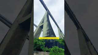 50kmh HSR Mega Bridge, Hollow A Pier Design For Wind & Seismic Resistance