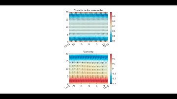 Heteroclinic cycle like periodic orbit in 2D active nematic periodic channel