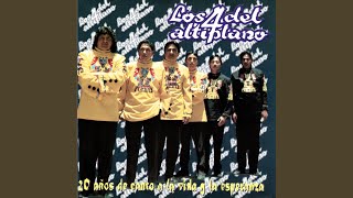 Video thumbnail of "Los 4 del Altiplano - Corazón Equivocado"