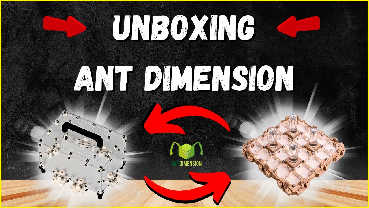 ( UNBOXING ) Je découvre les fourmilières et aires de chasse de la boutique ANT DIMENSION  .
