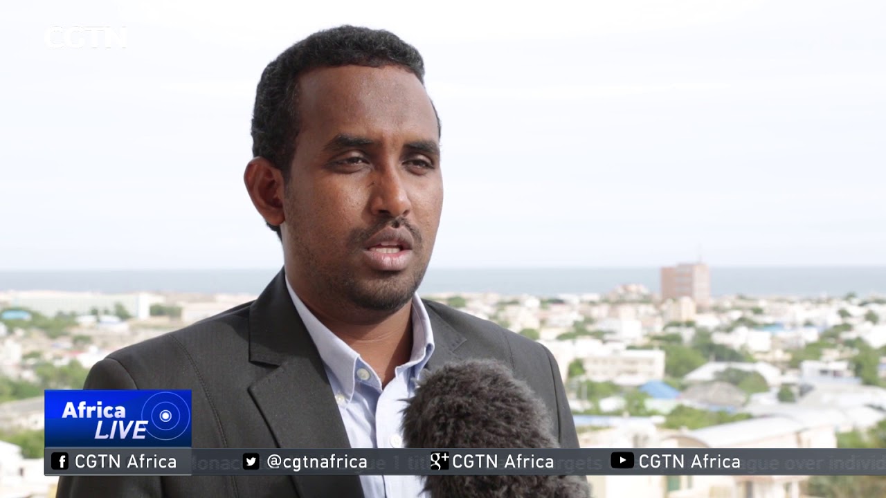 UAE to end military support to Somalia