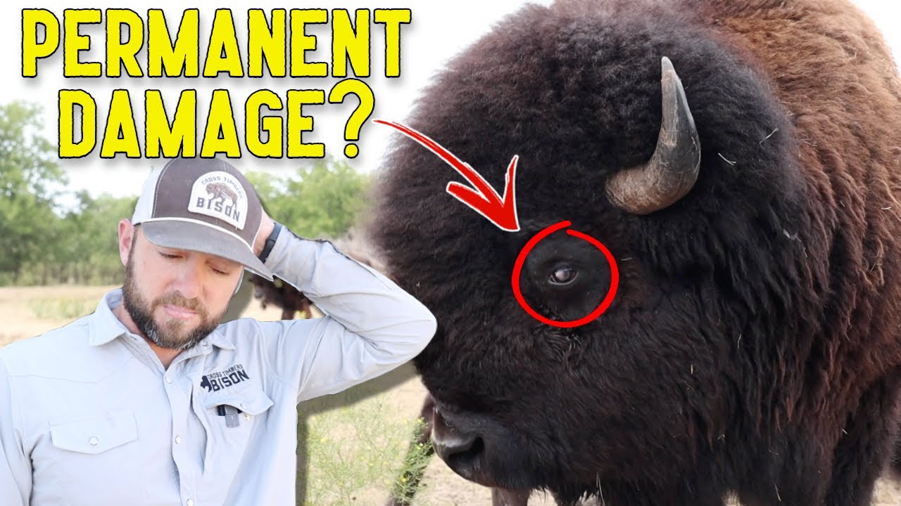 Это чудо, что она все еще жива...