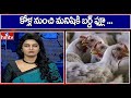 Russia reports first case of transmission of bird flu to humans