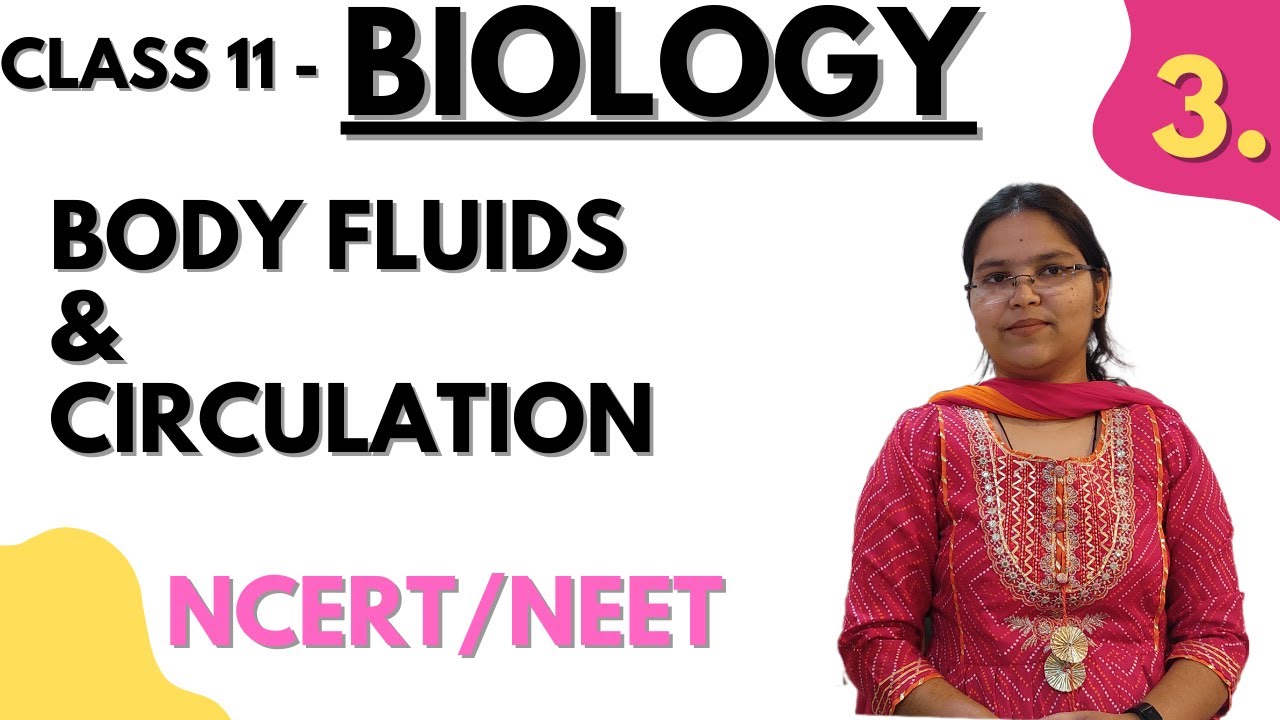 Lecture-3 NEET 2024 | Body Fluid and Circulation Class 11 Biology ...