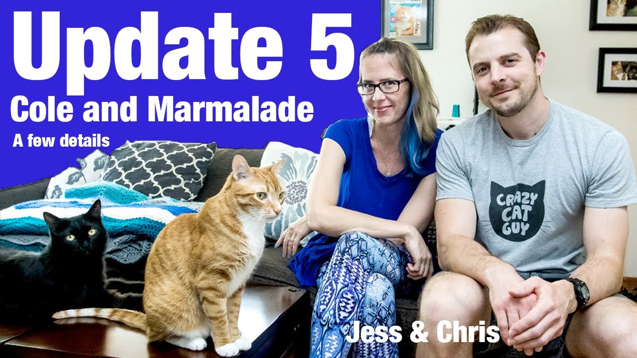 Cole and Marmalade Update 5 YouTube