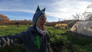 Download Lagu Buon Natale, buon Anno, buon Tutto - Vlog in Orto Invernale - Progetto Entelekia MP3