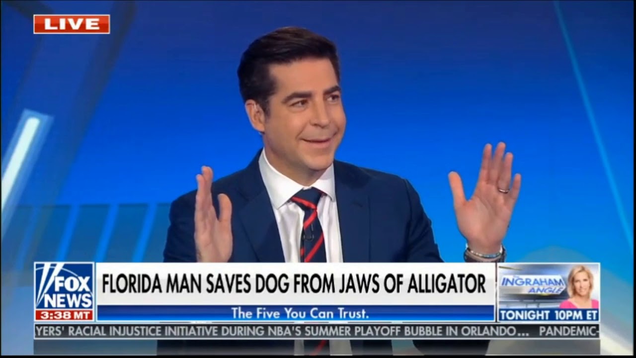 Jesse Watters Has Unpopular Opinion On Man Saving Puppy From Alligator