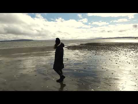Debbie Miller - Grand Canyon (Magnetic Fields cover)