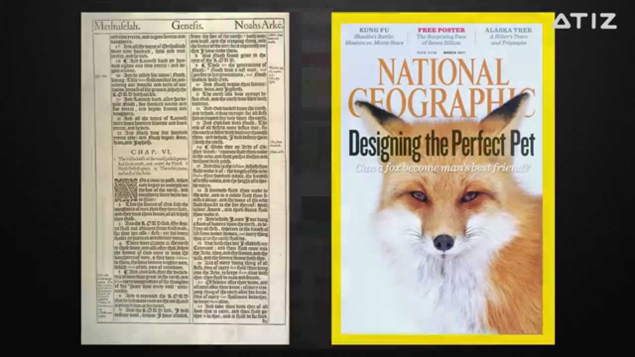 Калибровочная мишень ImageIQ. Книжный сканер Atiz