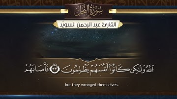 سورة النحل || القارئ عبدالرحمن السويّد ١٤٤٥هـ Surah An-Nahl _ Abdulrahman alswaiyd