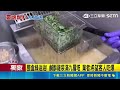 三立獨家｜爆量"九層塔"鋪滿整盒！網笑:買九層塔送鹹酥雞嗎？｜記者 陳俞安 黃大衛｜三立新聞LIVE