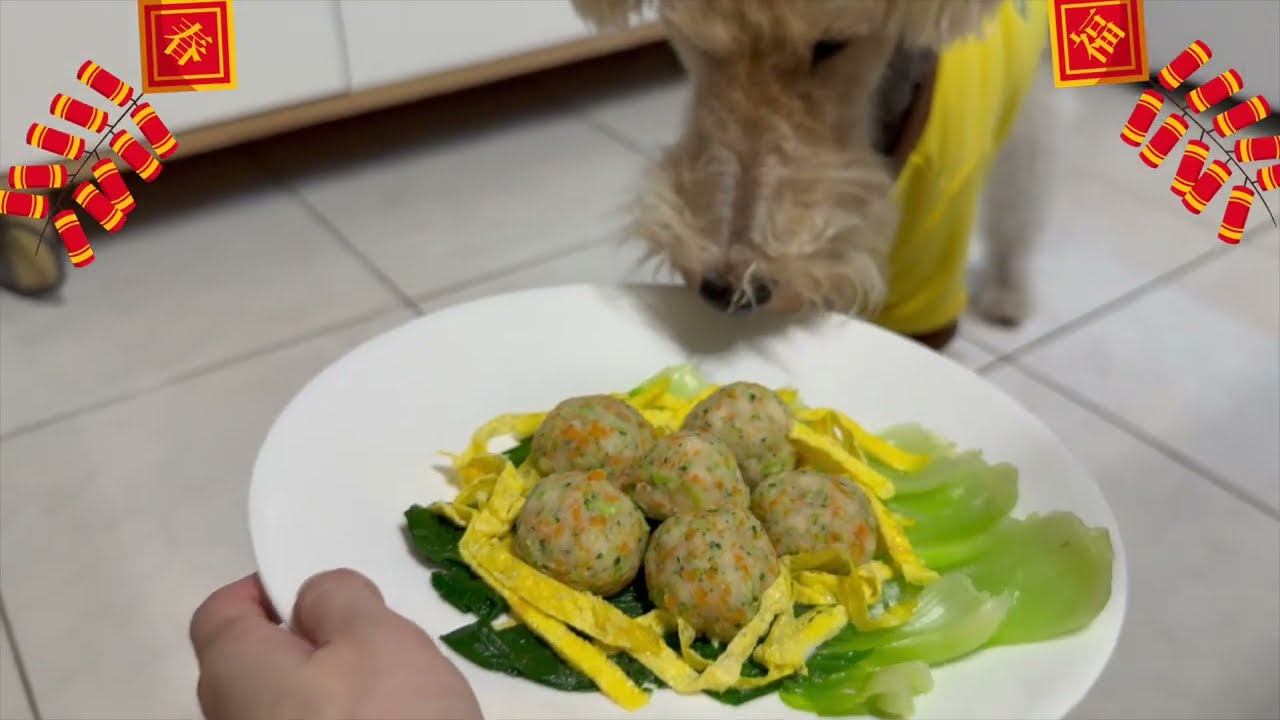 PETRICK寵物食譜🐶🐱 迎新年🧧年年有餘開運魚丸/寵物鮮食/寵物魚丸/Lunar New Year Fish Balls