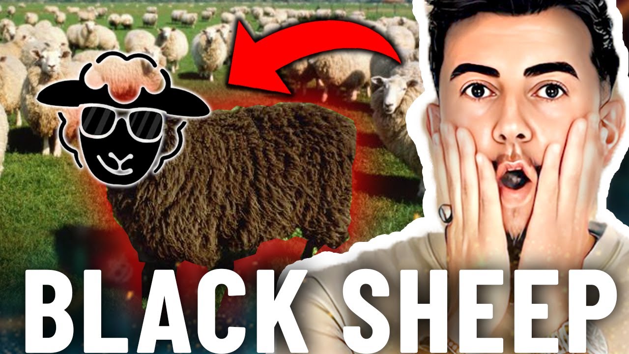 Opinión Black Sheep ACADEMY PRO 2023 ¿SE PUEDE VIVIR Del Trading ?😱 JON