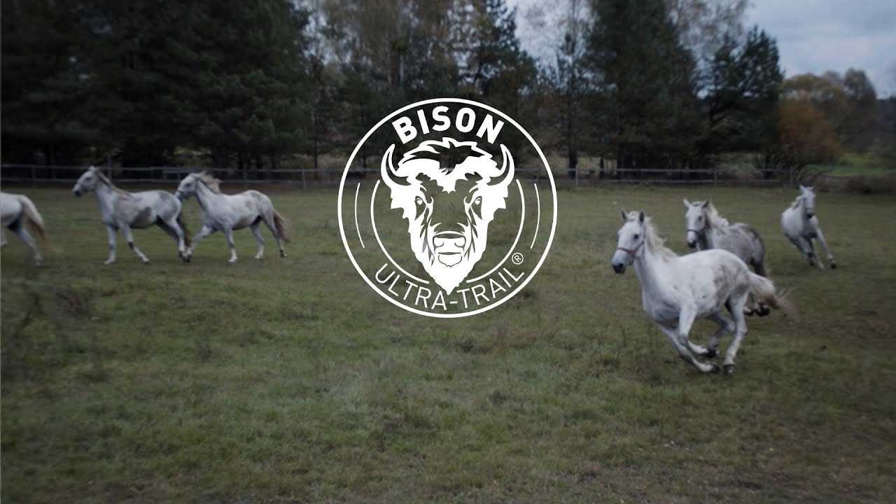BISON Ultra-Trail 2024