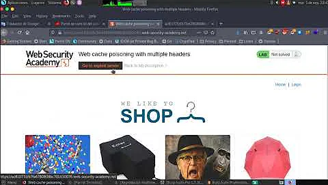 Web cache poisoning with multiple headers