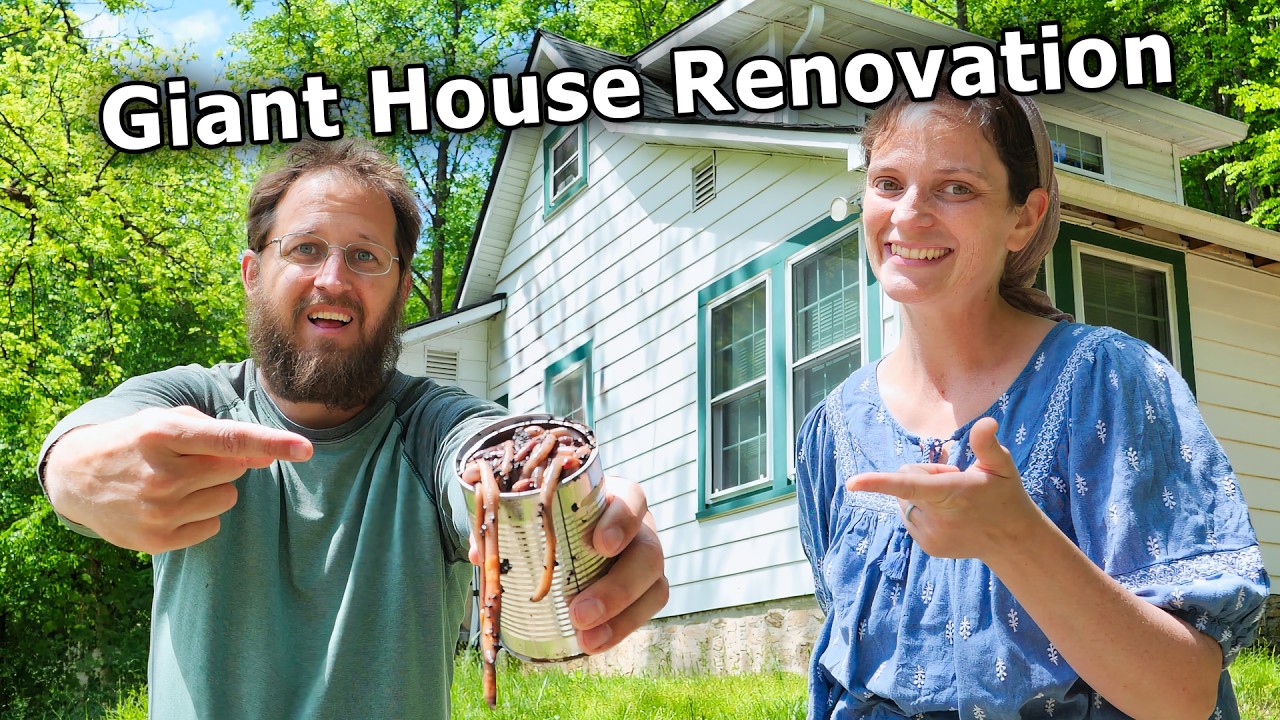 This Renovation is a HUGE Can of WORMS!