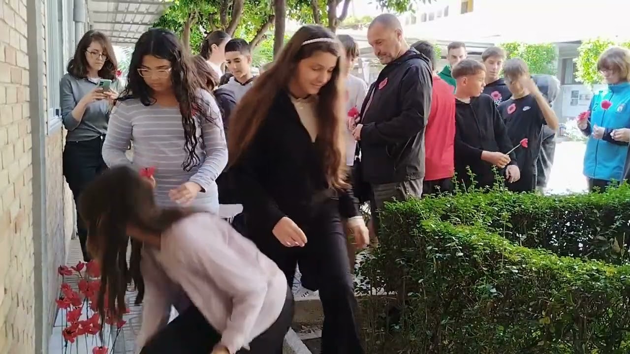 IES Julio Rodríguez curso 2025-2026 - Remembrance Day