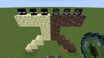 what if you create a DOUBLE ENDER WITHER in MINECRAFT