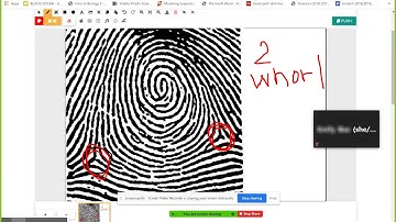 Whiteboard.fi for Formative Assessment