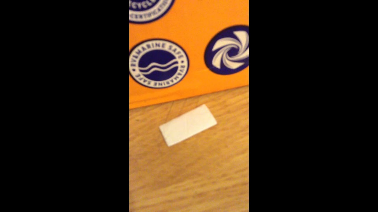 My cat hates my friend