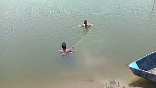 Vannamei Pond Seed Dragging Hapa Sanitized With Kmno4 Check Condition In White Tub..