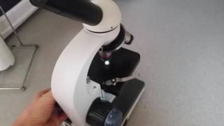 Mite Sample Information Part 1
