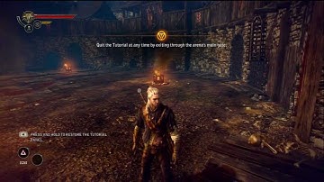 The Witcher 2: EE - Tutorial: Character Development, Mutagens, Training Tree, HD Gameplay Xbox 360