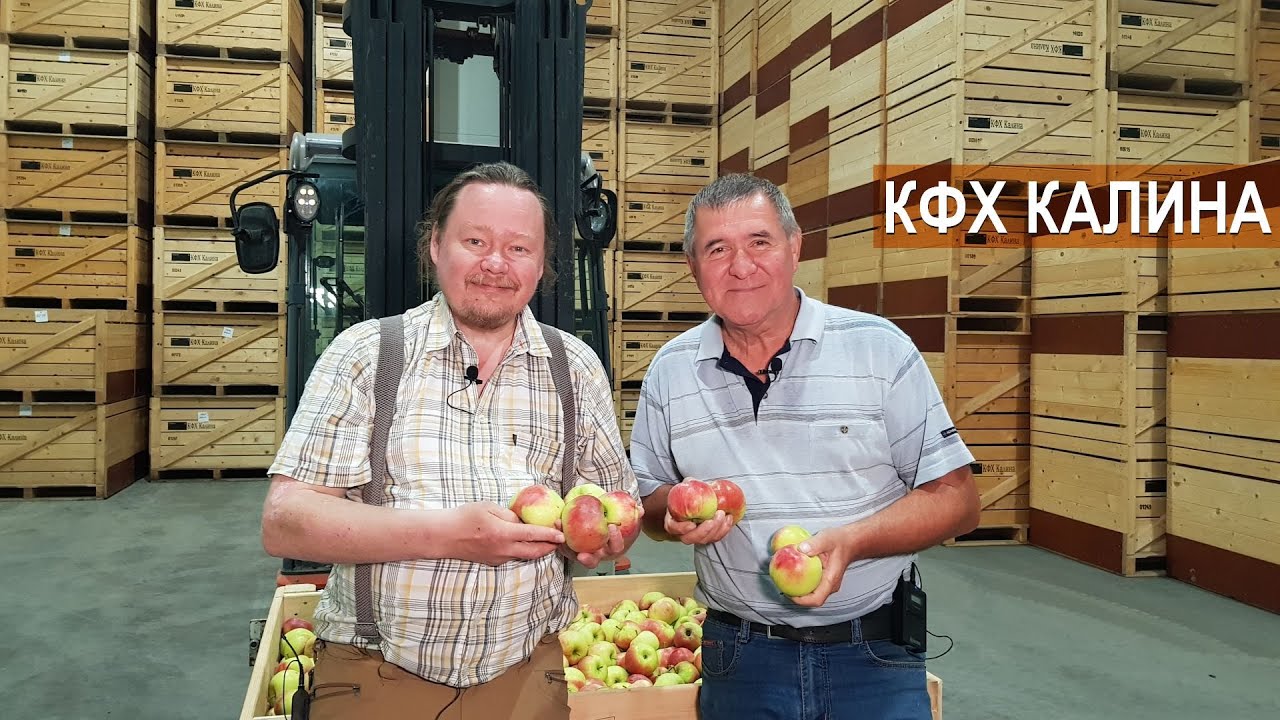 Кфх калина черняховский район