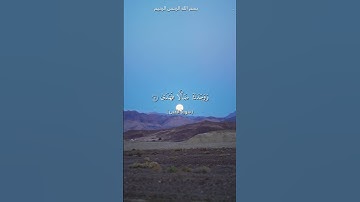 سورة الضحى بصوت القارىء محمد الفقيه