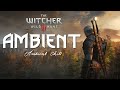The witcher 3  one hour of relaxing music  natural ambience