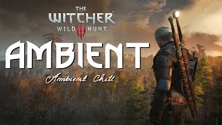 The Witcher 3  One hour of Relaxing Music & Natural Ambience