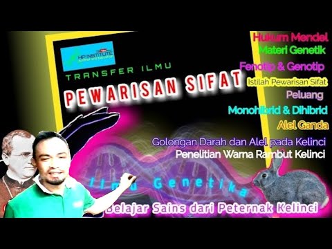 Video: Apakah corak pewarisan?