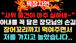 (막장사연) 잘해주는 장모님