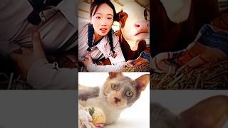 Funny Cat Video 😂😂😂#Shorts#Funkis #fails #memes