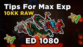 Famous From 8kk to 10kk Raw Guide - Solo Dragons Hunting Tips - Ed 1080 - Tibia Nimmersatt's Wealth