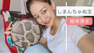 【三線で弾いてみよう！】島人ぬ宝（簡単弾き）