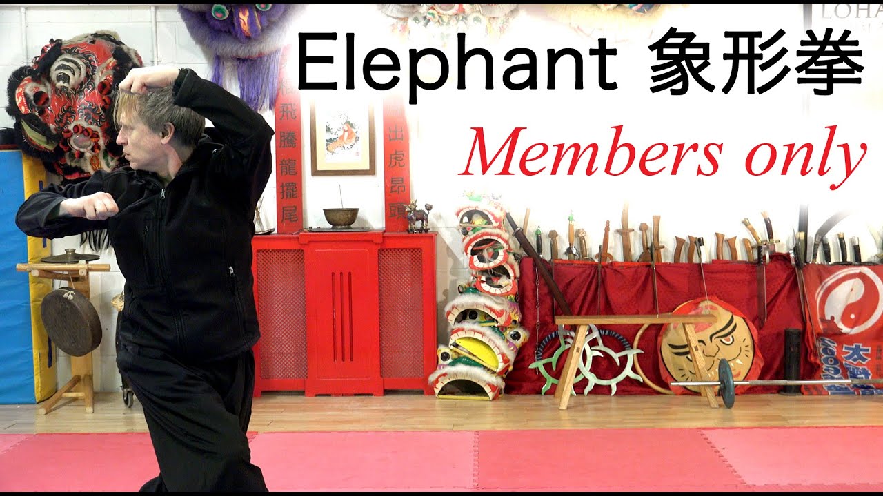 Exclusive Member Tutorial: The Elephant Form Slow Walkthrough - Choy Li ...