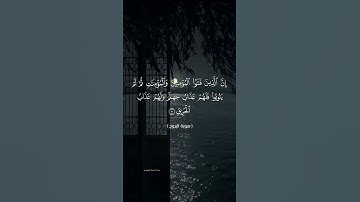 #quran #اكسبلور #ارحقلبك #تلاوة_خاشعة #راحة_نفسية #ارحسمعك #لايك #قرانكريم #تيك_توك #قرانالكريم