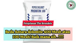 The Brondols' Explanation: The Difference Between 400 Mesh and 100 Mesh Dolomite! Which is Better